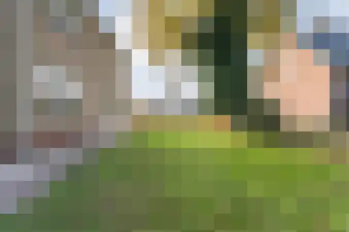 Dedemsvaartseweg-Noord 158 Lutten thumbnail 51