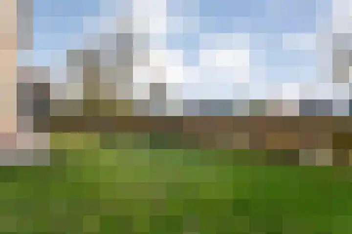 Dedemsvaartseweg-Noord 158 Lutten thumbnail 53