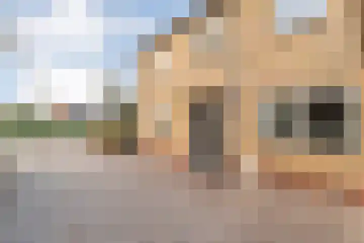 Dedemsvaartseweg-Noord 158 Lutten thumbnail 55