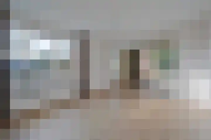 Dedemsvaartseweg-Noord 158 Lutten thumbnail 8