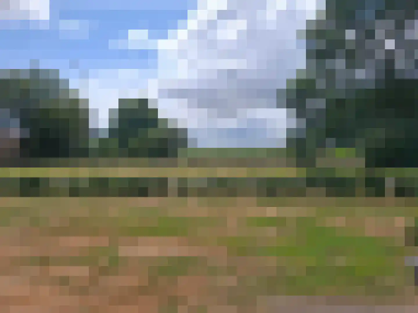 Dedemsvaartseweg-Noord 50 Lutten thumbnail 10