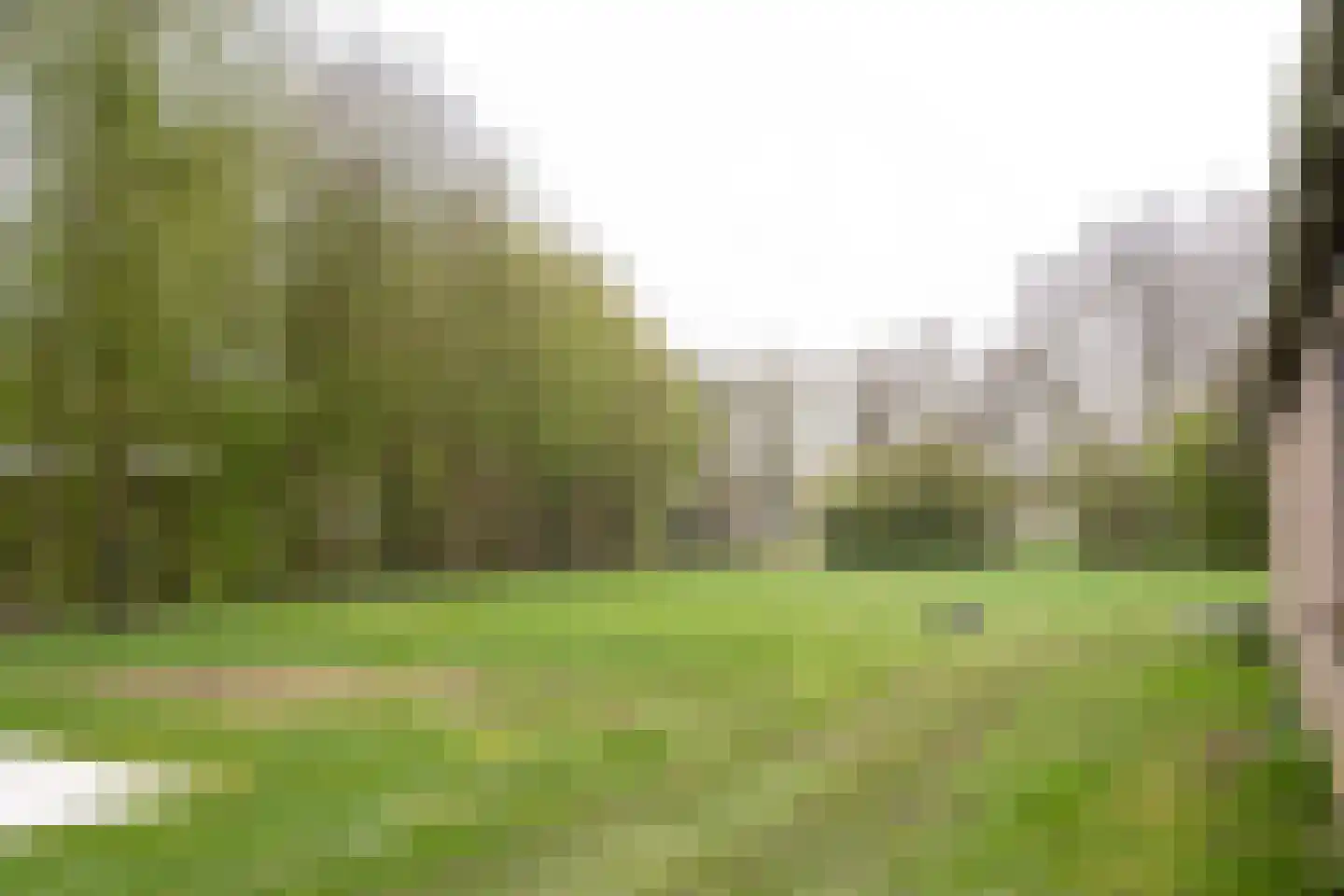 Dedemsvaartseweg-Noord 50 Lutten thumbnail 11