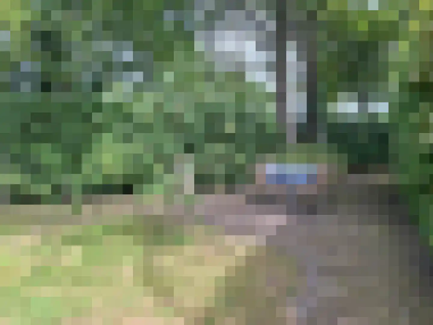 Dedemsvaartseweg-Noord 50 Lutten thumbnail 11