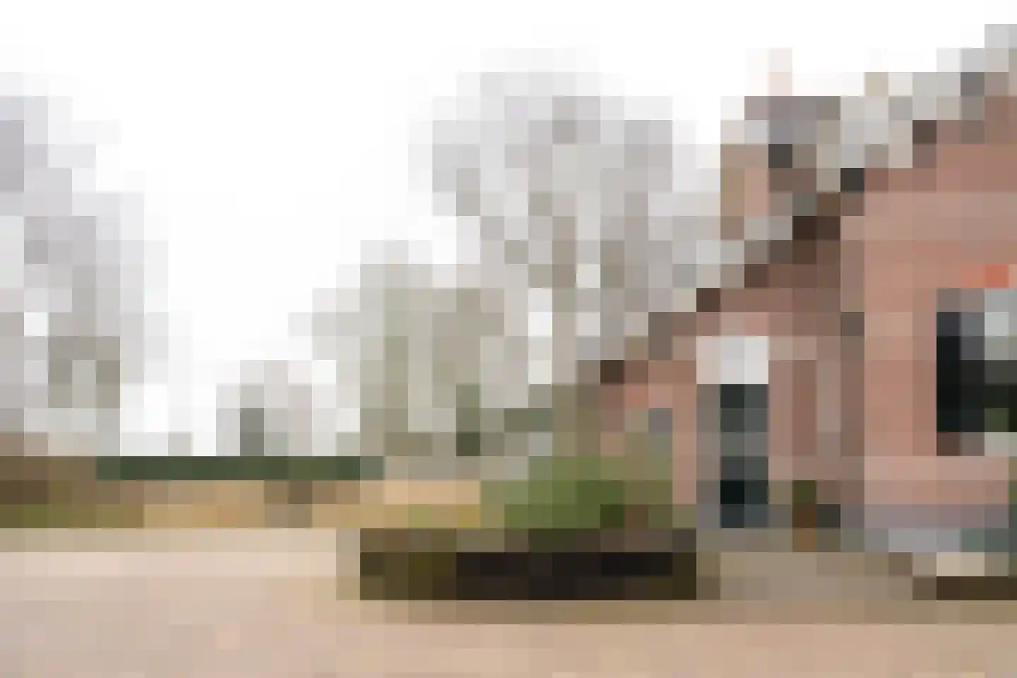Dedemsvaartseweg-Noord 50 Lutten thumbnail 12