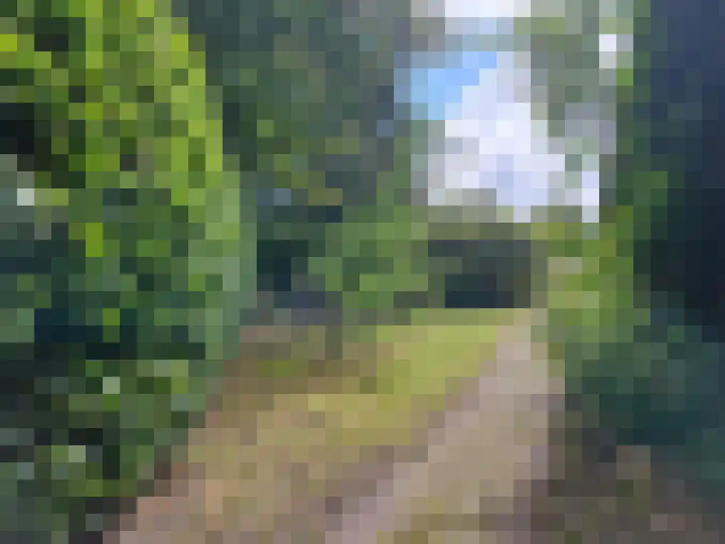 Dedemsvaartseweg-Noord 50 Lutten thumbnail 12