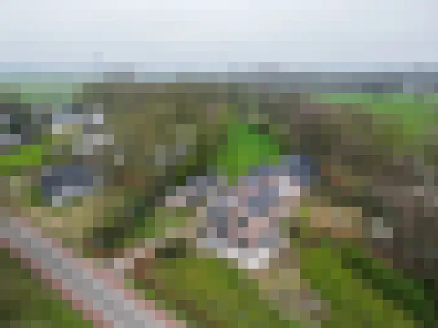 Dedemsvaartseweg-Noord 50 Lutten thumbnail 13