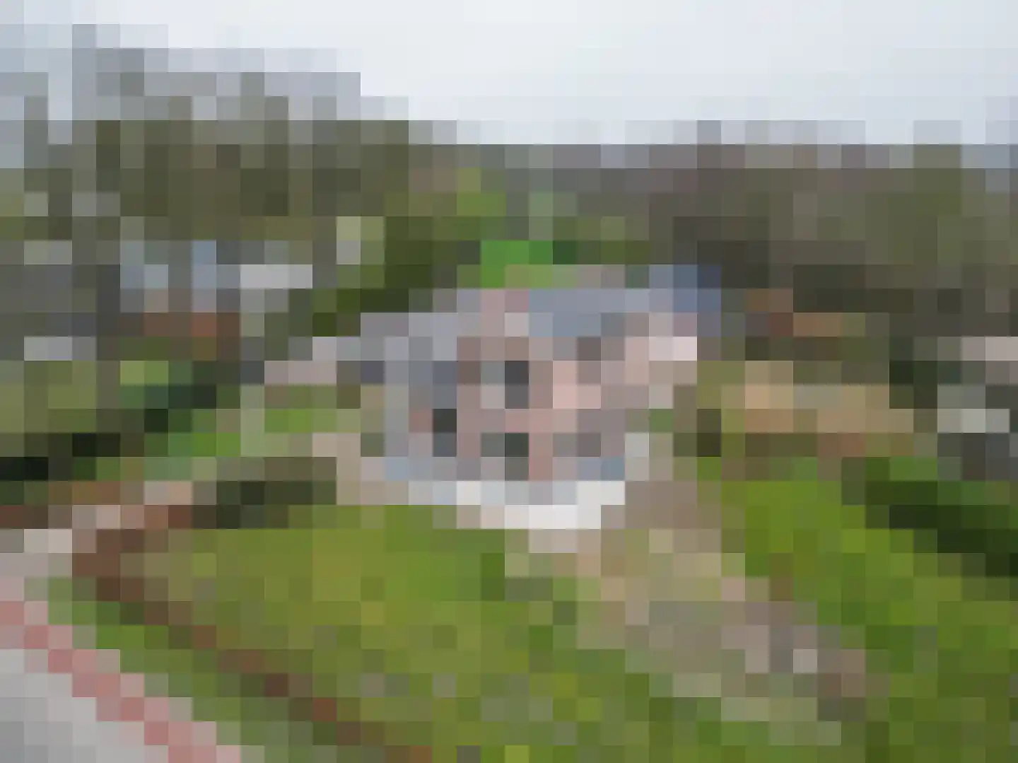 Dedemsvaartseweg-Noord 50 Lutten thumbnail 15