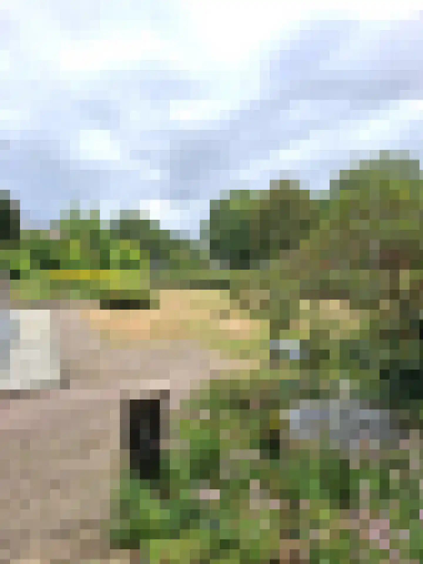 Dedemsvaartseweg-Noord 50 Lutten thumbnail 19