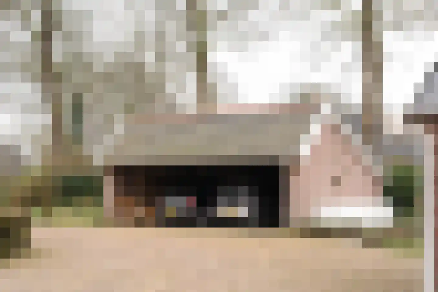 Dedemsvaartseweg-Noord 50 Lutten thumbnail 20