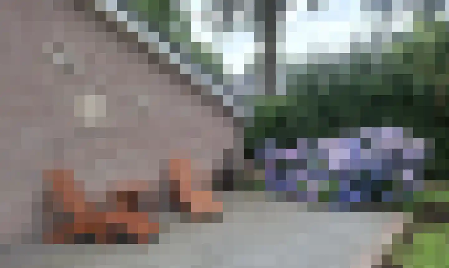 Dedemsvaartseweg-Noord 50 Lutten thumbnail 20