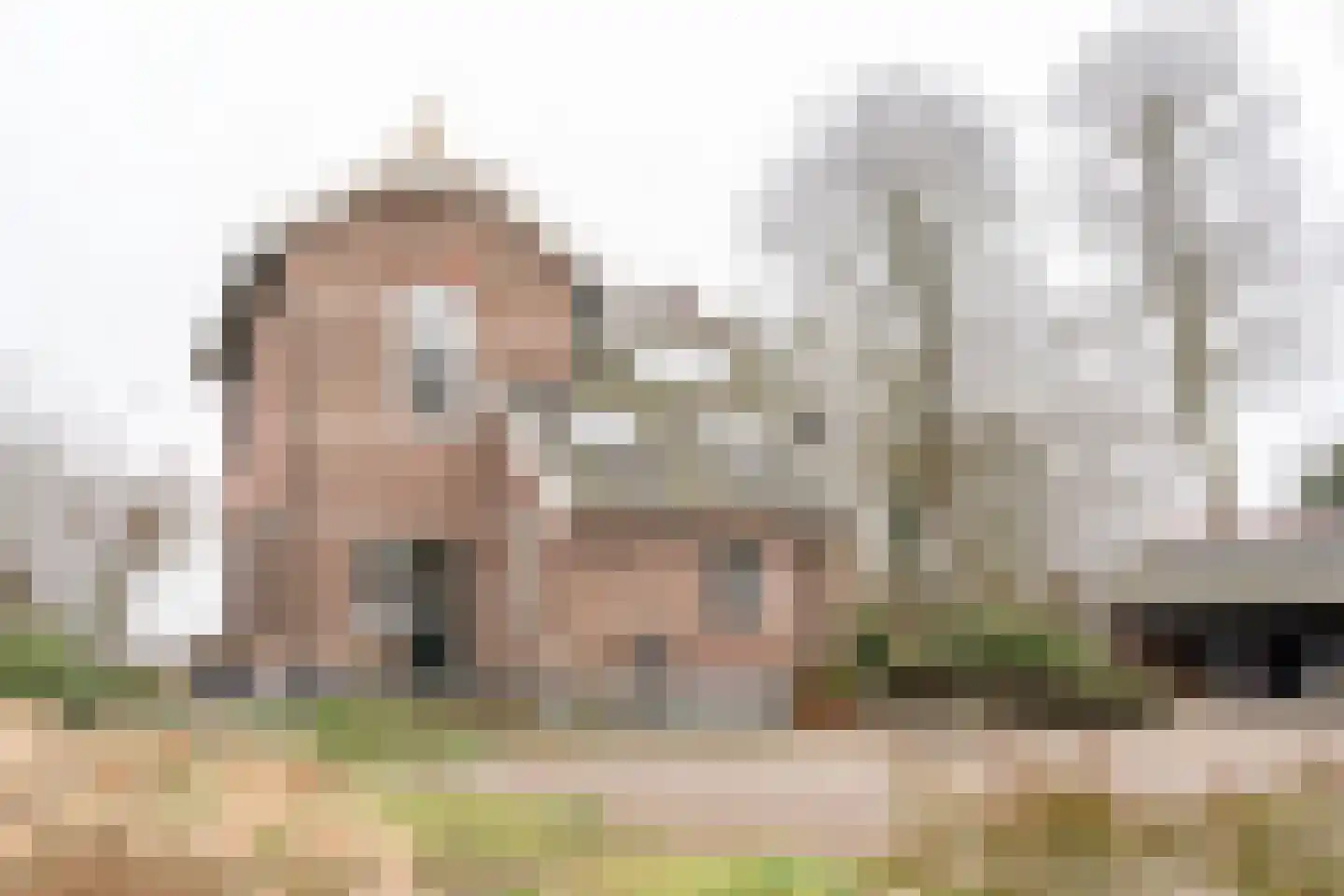 Dedemsvaartseweg-Noord 50 Lutten thumbnail 21