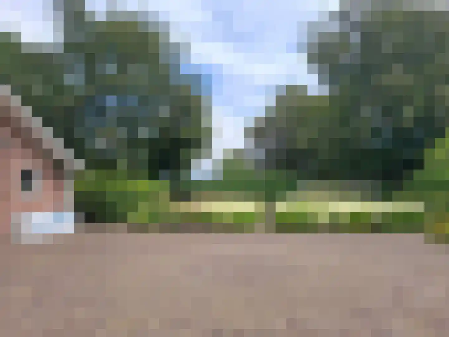 Dedemsvaartseweg-Noord 50 Lutten thumbnail 22