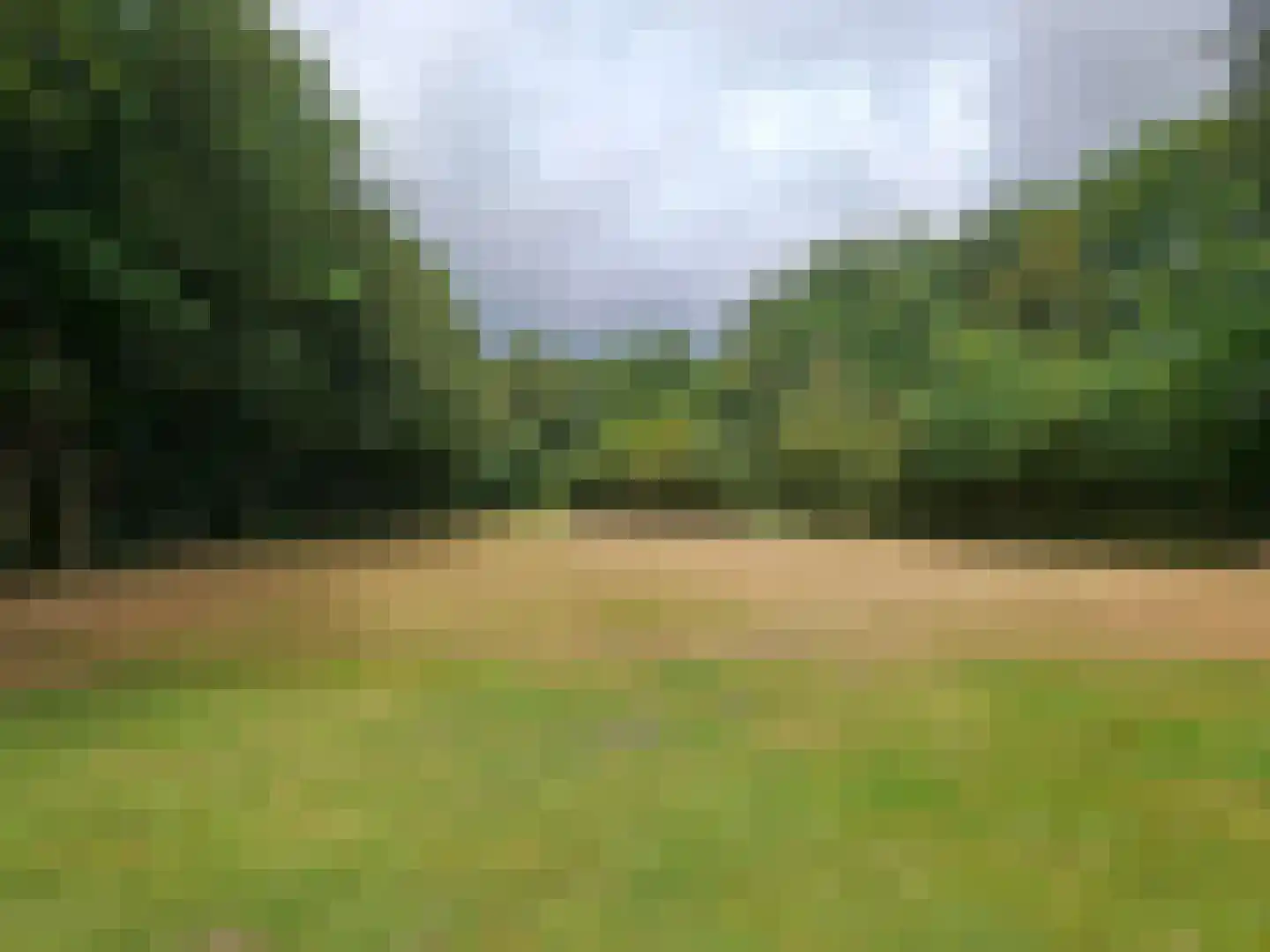 Dedemsvaartseweg-Noord 50 Lutten thumbnail 24