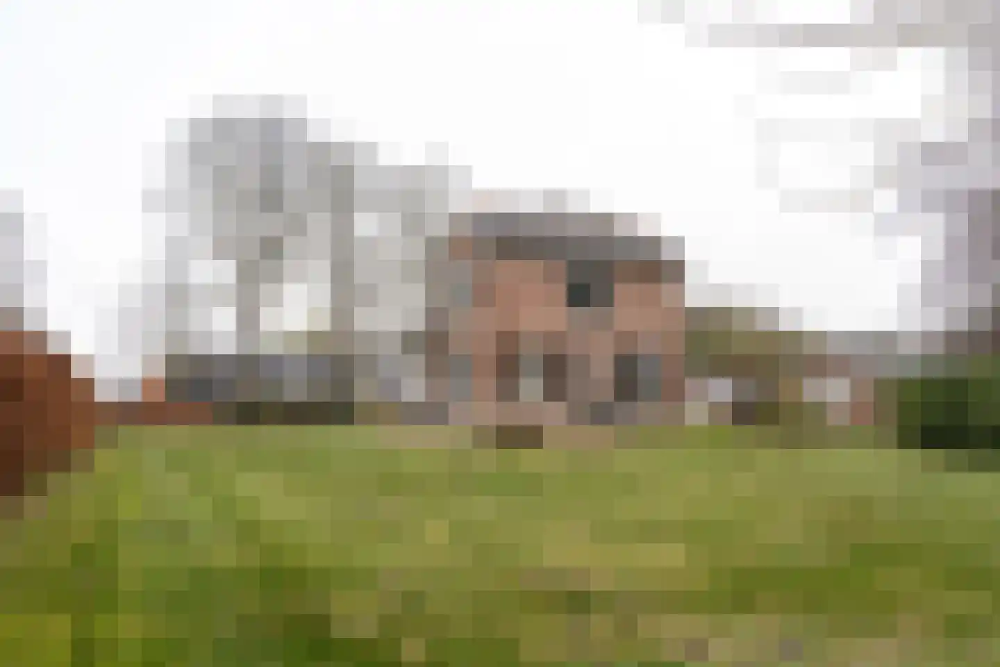 Dedemsvaartseweg-Noord 50 Lutten thumbnail 24