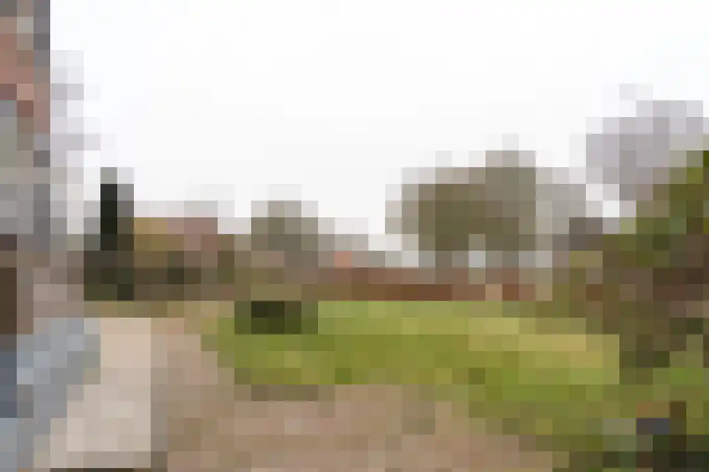 Dedemsvaartseweg-Noord 50 Lutten thumbnail 25