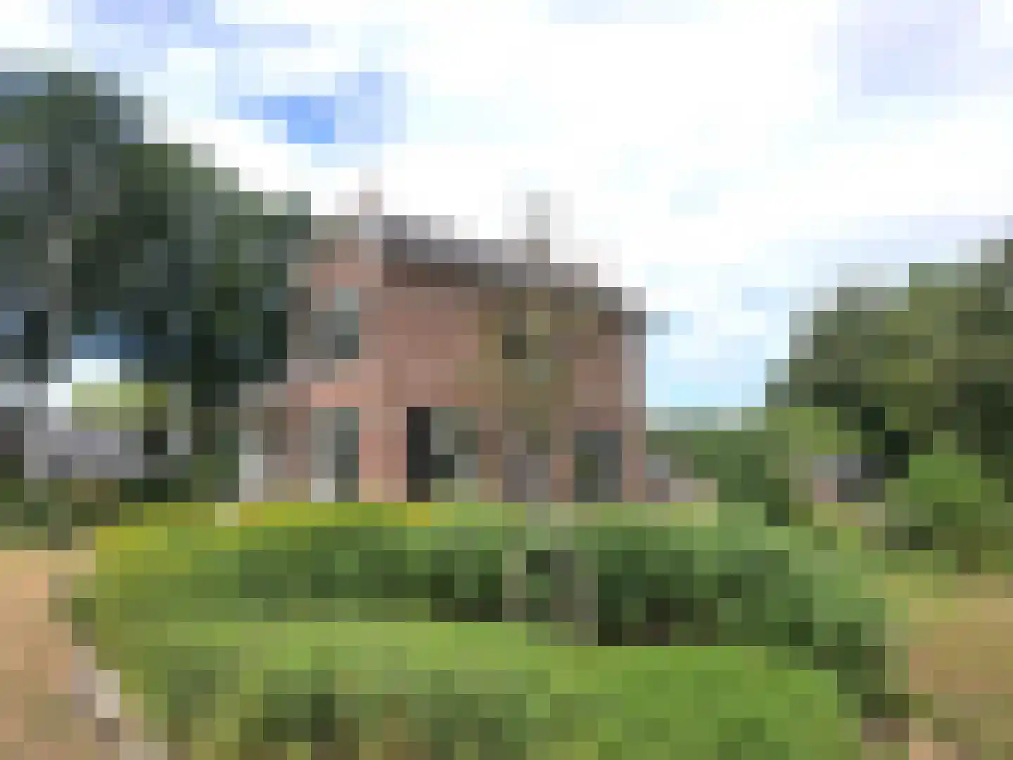 Dedemsvaartseweg-Noord 50 Lutten thumbnail 27