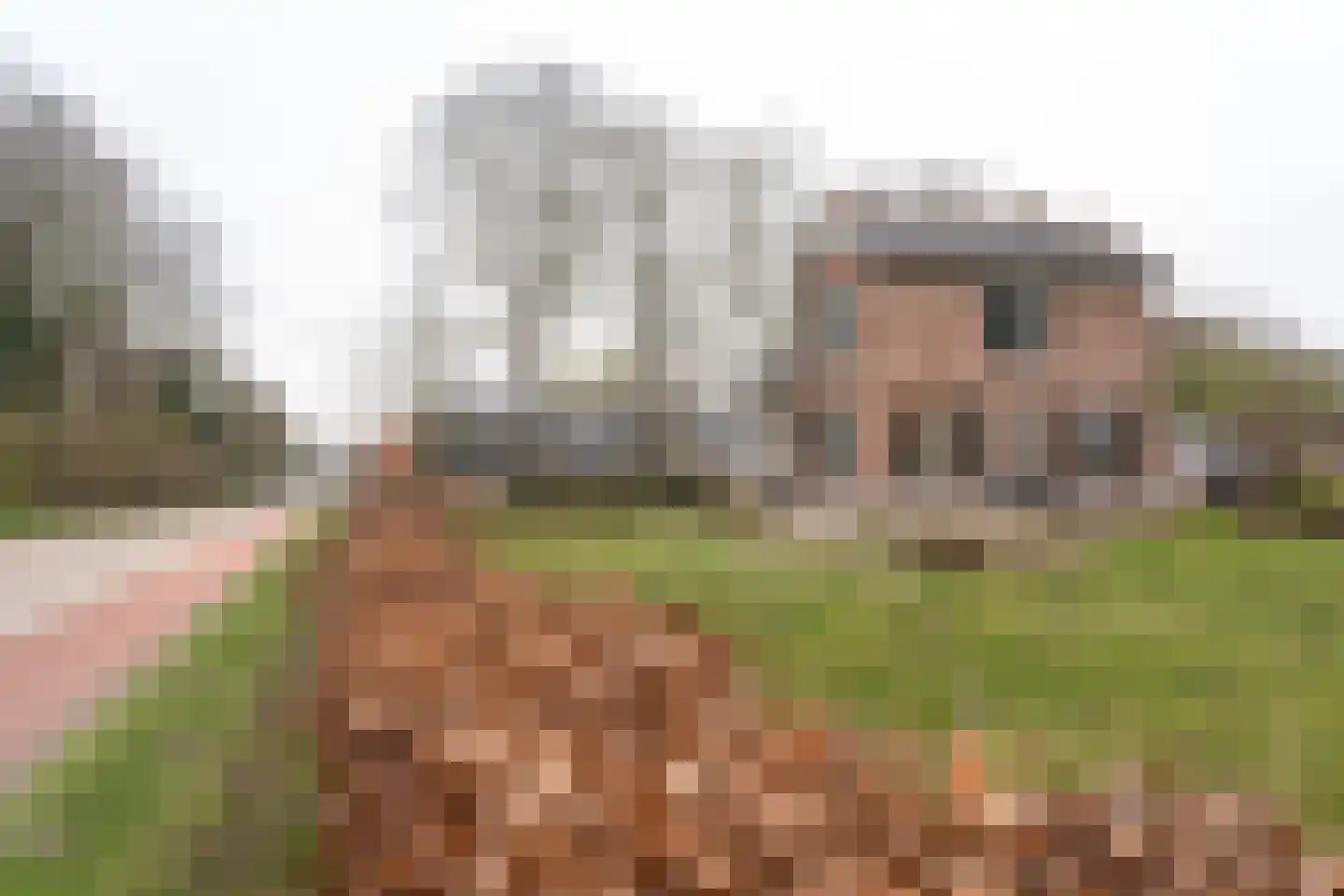 Dedemsvaartseweg-Noord 50 Lutten thumbnail 31