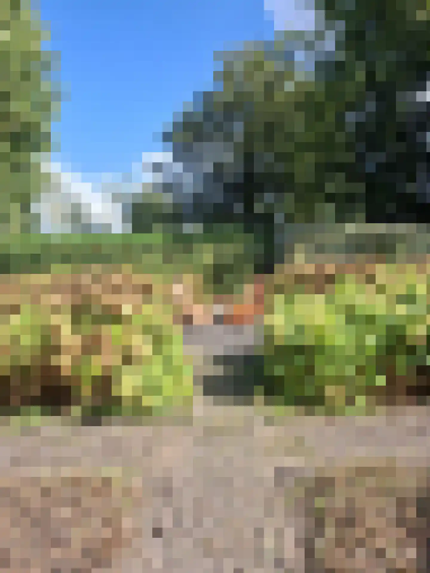 Dedemsvaartseweg-Noord 50 Lutten thumbnail 4