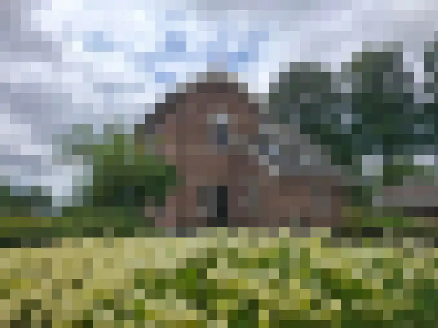 Dedemsvaartseweg-Noord 50 Lutten thumbnail 74