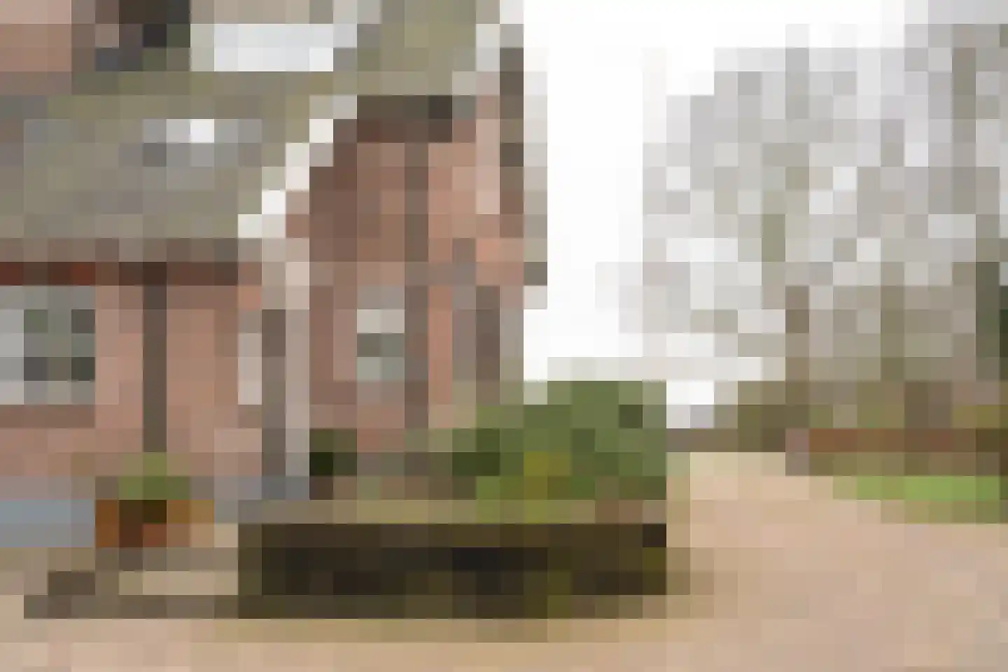 Dedemsvaartseweg-Noord 50 Lutten thumbnail 8