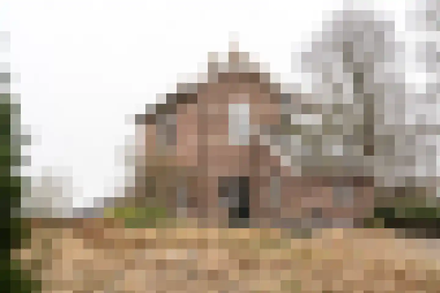 Dedemsvaartseweg-Noord 50 Lutten thumbnail 9