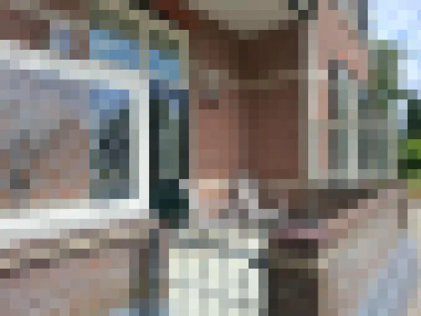Dedemsvaartseweg-Noord 50 Lutten thumbnail 9