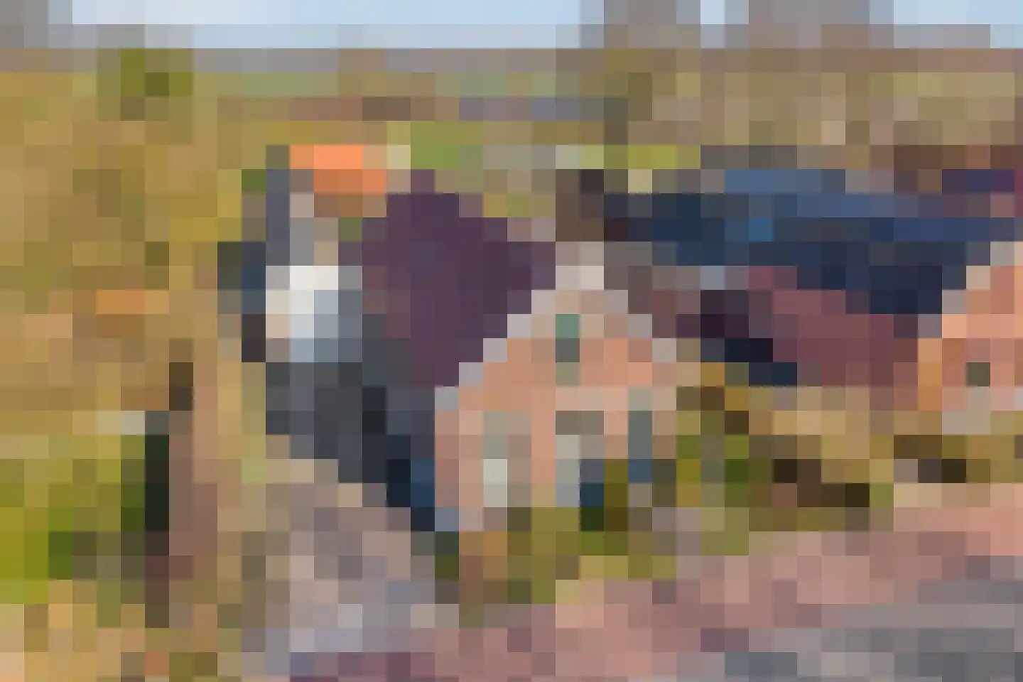 Dedemsvaartseweg-Noord 94 Lutten thumbnail 4