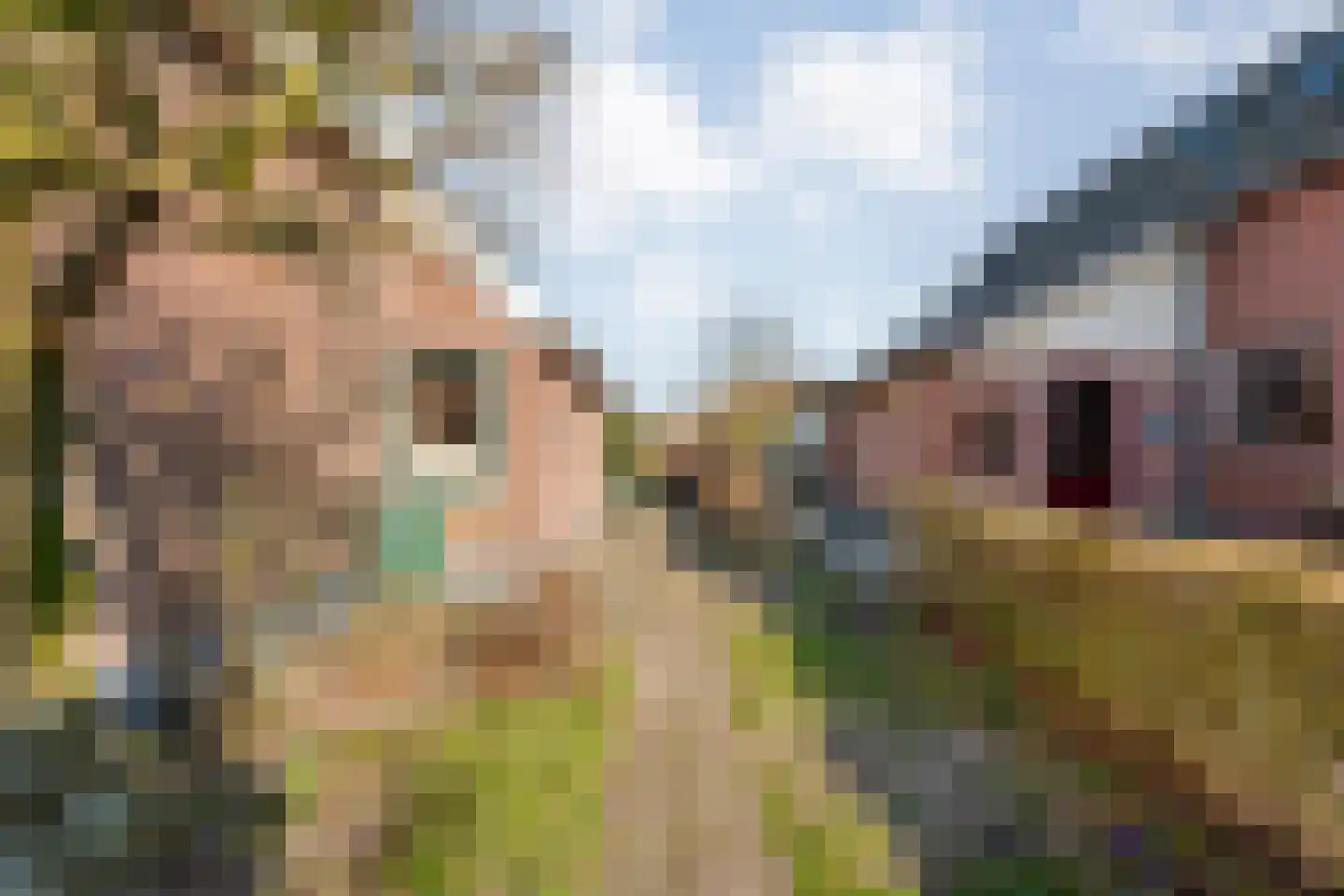 Dedemsvaartseweg-Noord 94 Lutten thumbnail 40