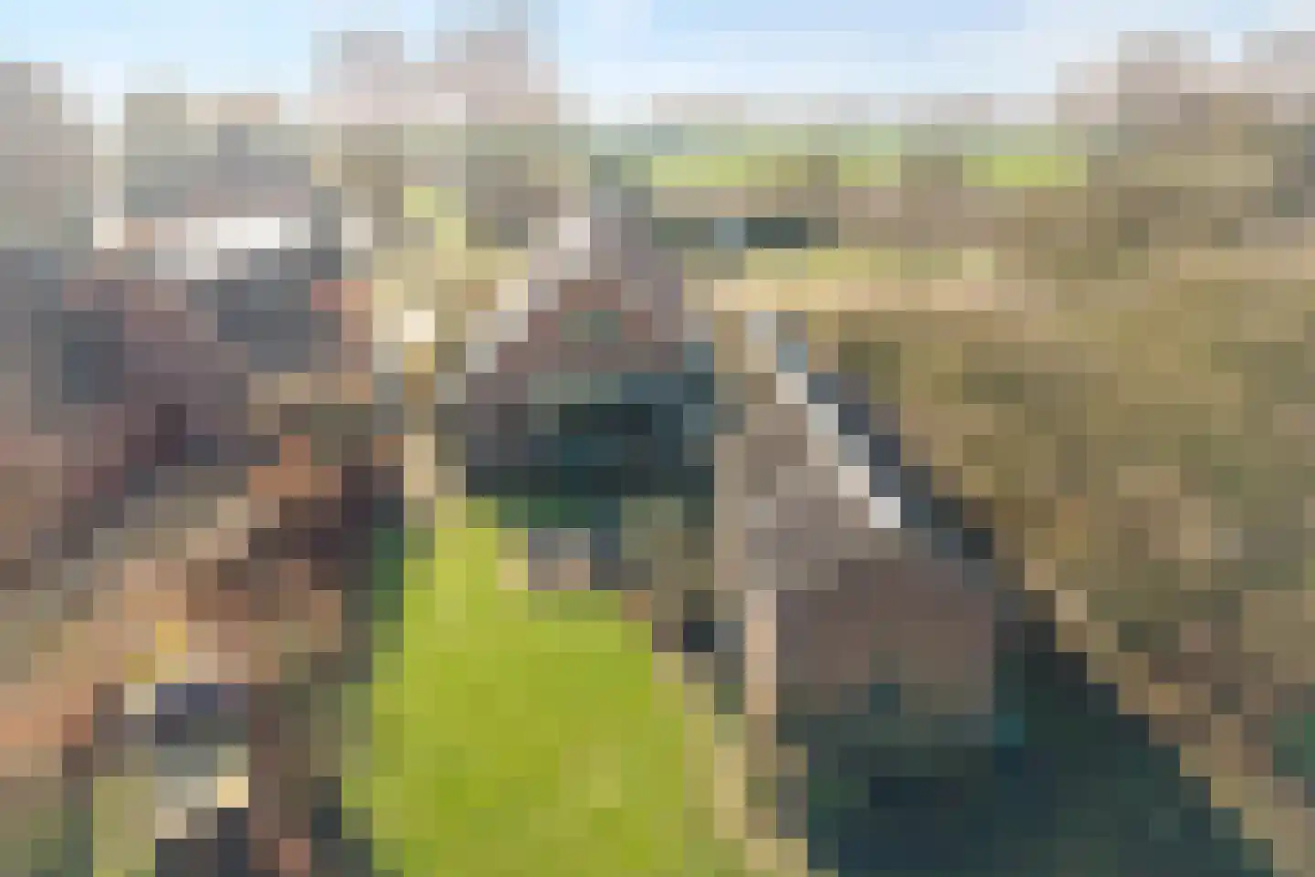 Dedemsvaartseweg-Noord 94 Lutten thumbnail 42