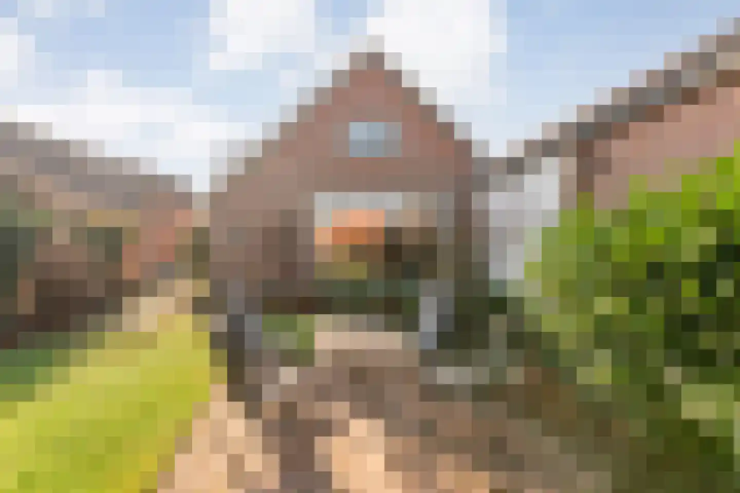 Dedemsvaartseweg-Noord 94 Lutten thumbnail 44