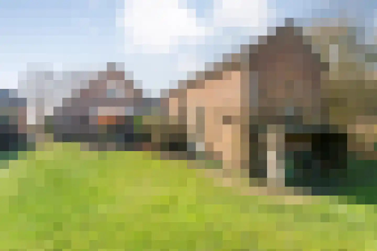 Dedemsvaartseweg-Noord 94 Lutten thumbnail 45