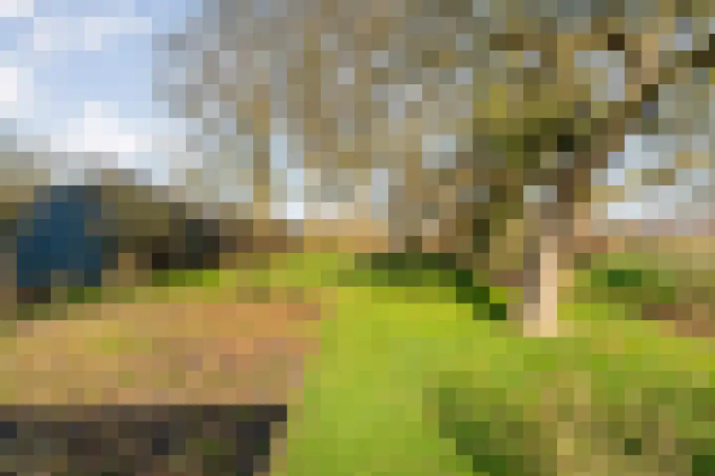Dedemsvaartseweg-Noord 94 Lutten thumbnail 50