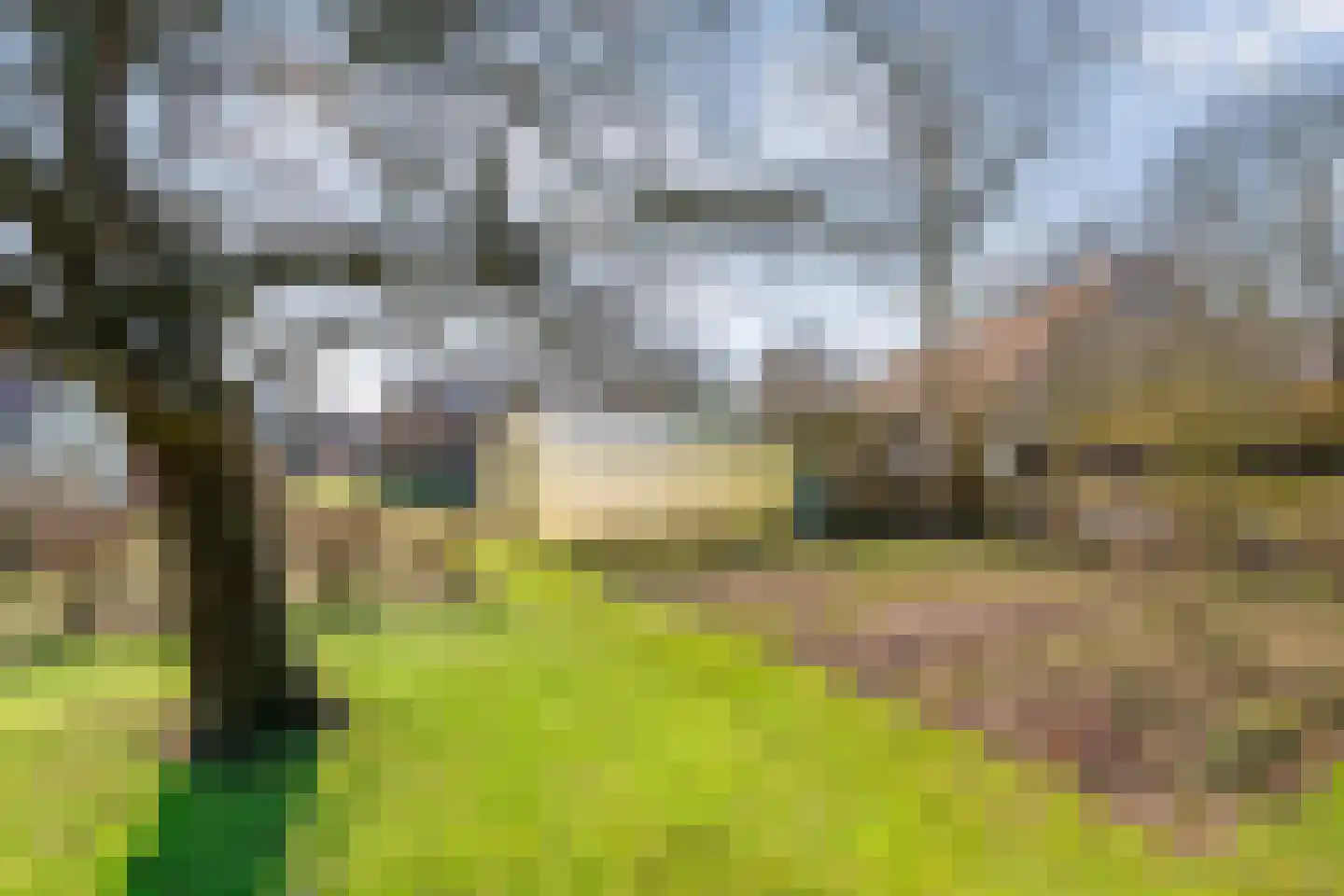 Dedemsvaartseweg-Noord 94 Lutten thumbnail 51