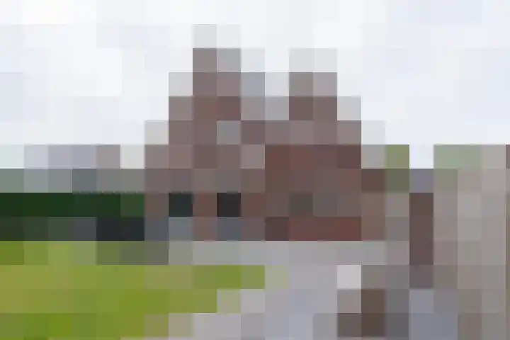 Dedemsvaartseweg-Zuid 107 Lutten thumbnail 50