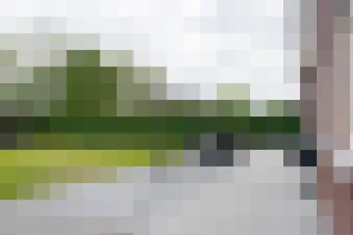 Dedemsvaartseweg-Zuid 107 Lutten thumbnail 53