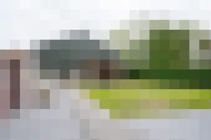 Dedemsvaartseweg-Zuid 107 Lutten thumbnail 54