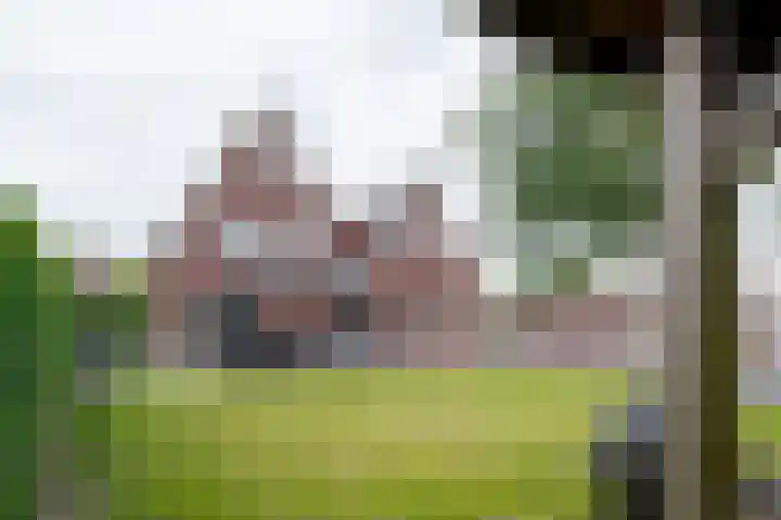 Dedemsvaartseweg-Zuid 107 Lutten thumbnail 6