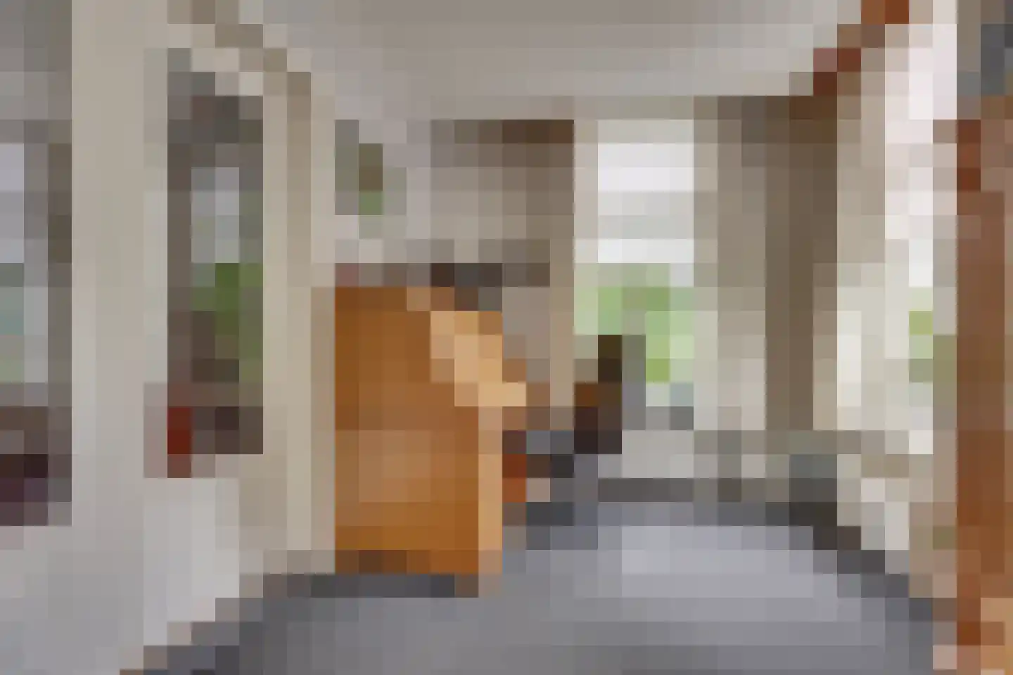 Dedemsvaartseweg-Zuid 13 Lutten thumbnail 12