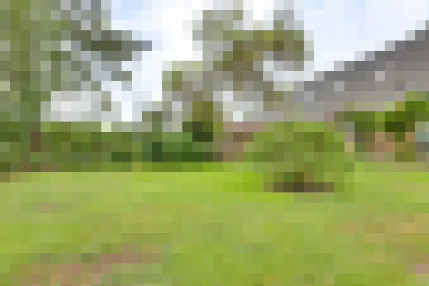 Dedemsvaartseweg-Zuid 13 Lutten thumbnail 26