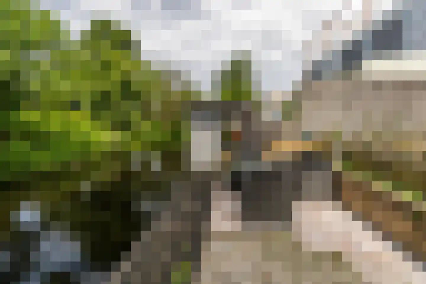 Dedemsvaartweg 207 Den Haag thumbnail 17