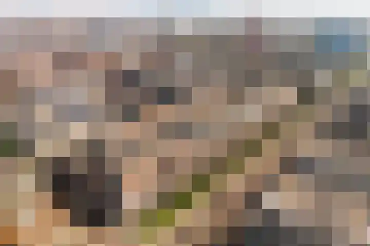 Dedemsvaartweg 510 in Den Haag