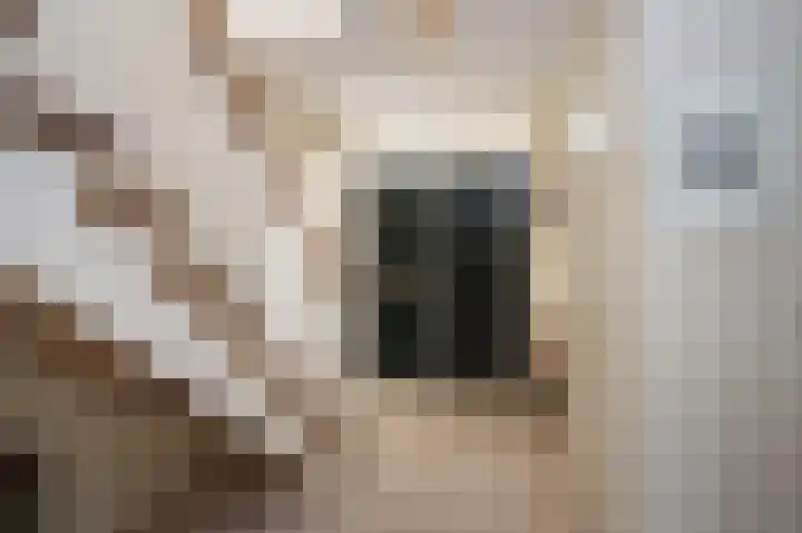 Deel 12 Aalden thumbnail 12