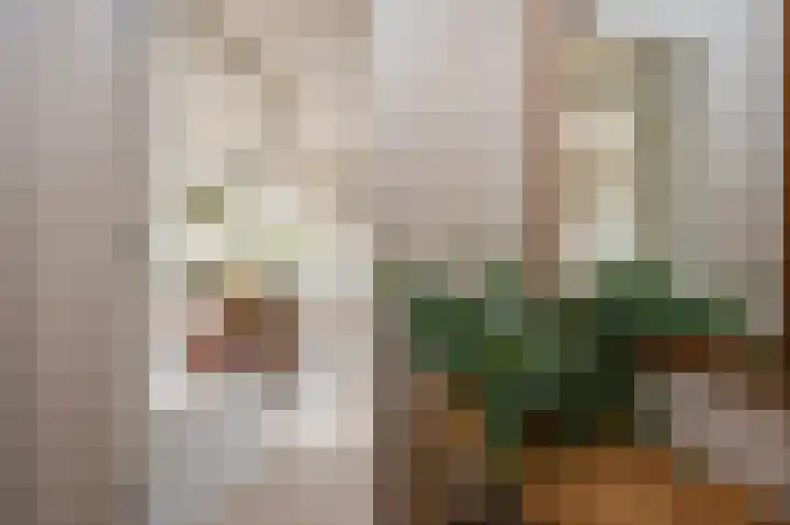 Deel 12 Aalden thumbnail 13