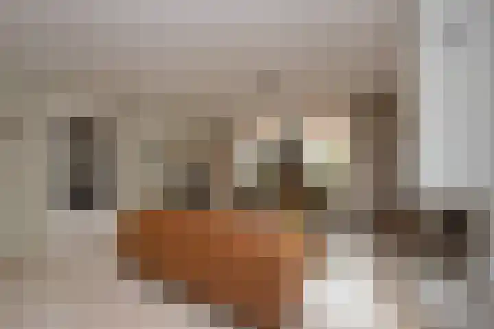 Deel 12 Aalden thumbnail 15