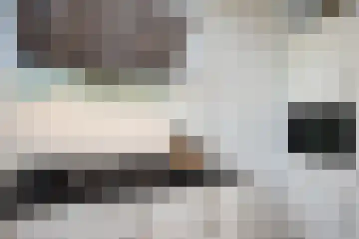 Deel 12 Aalden thumbnail 26