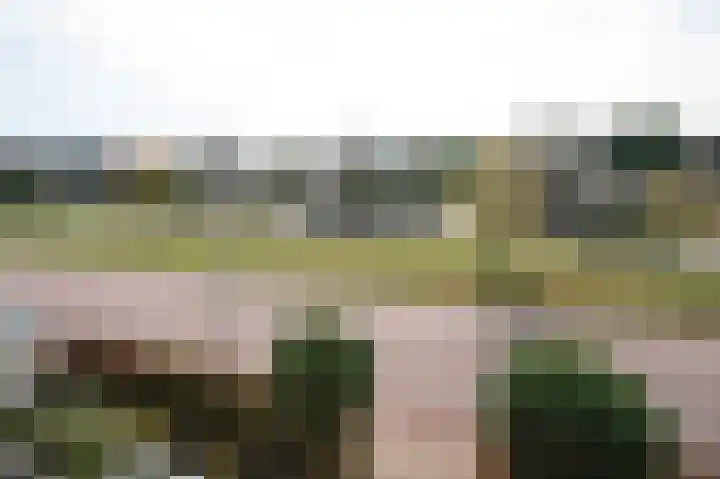 Deel 12 Aalden thumbnail 62