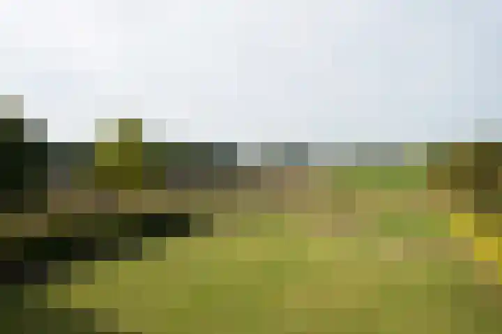 Deel 12 Aalden thumbnail 63