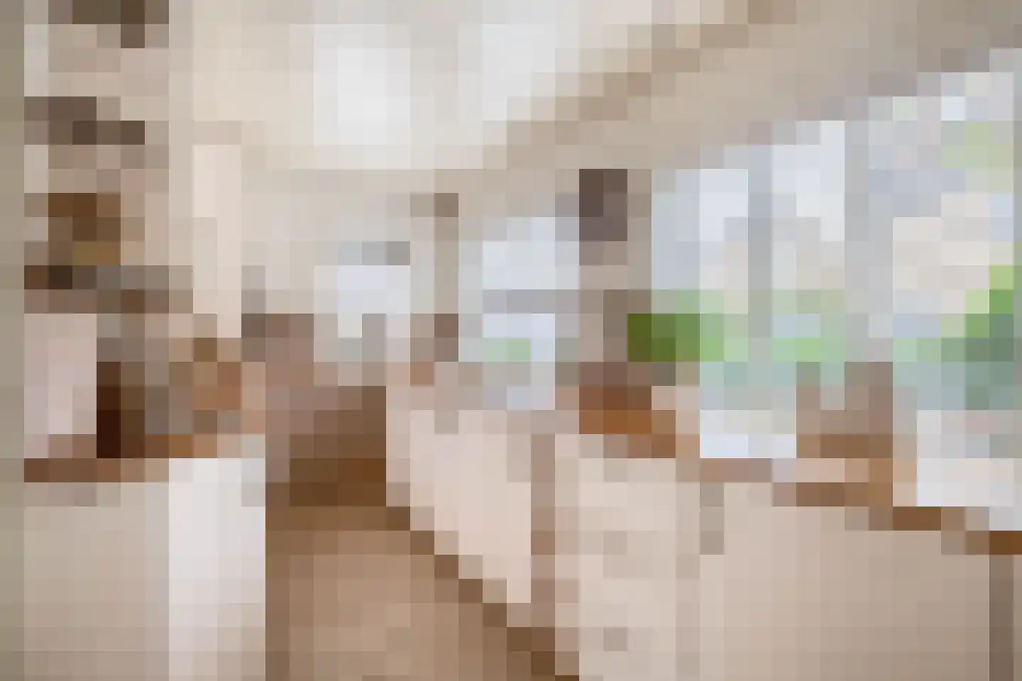 Deel 39 Brielle thumbnail 19