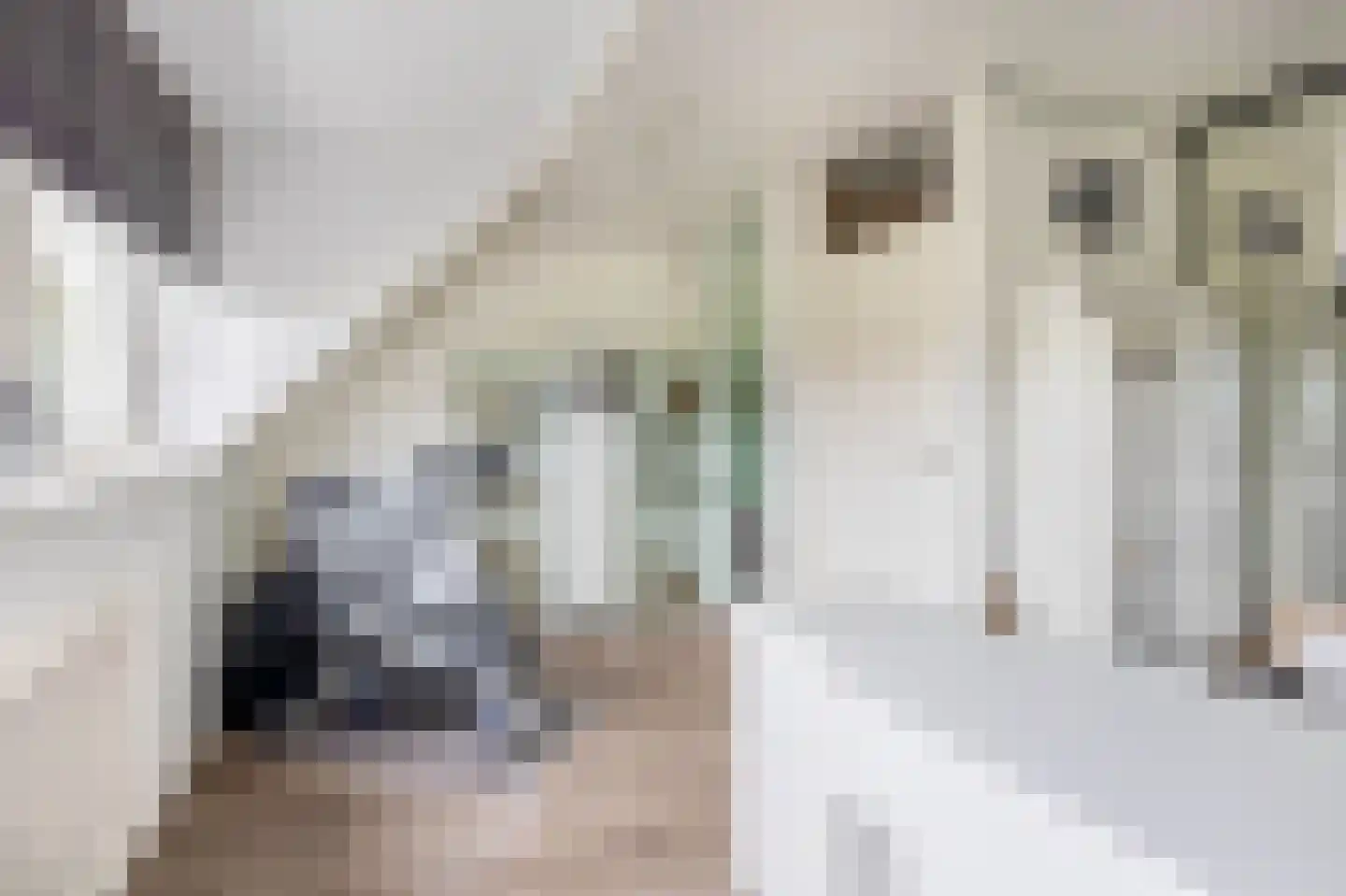Deel 39 Brielle thumbnail 22