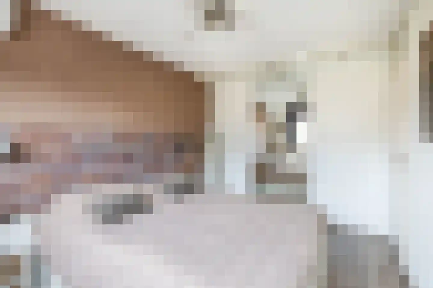 Deel 39 Brielle thumbnail 24